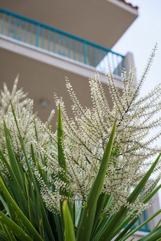 Kyveli Apartments galeri fotoğrafı