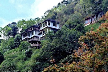 Blackberry Hills Munnar - Nature Resort & Spa