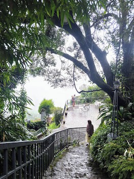 Blackberry Hills Munnar - Nature Resort & Spa