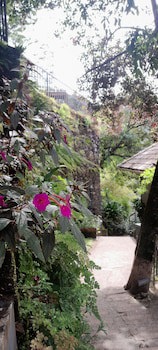 Blackberry Hills Munnar - Nature Resort & Spa
