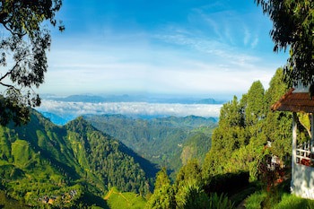 Blackberry Hills Munnar - Nature Resort & Spa