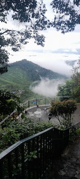 Blackberry Hills Munnar - Nature Resort & Spa