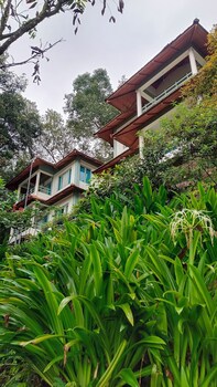 Blackberry Hills Munnar - Nature Resort & Spa