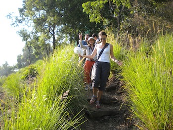 Blackberry Hills Munnar - Nature Resort & Spa