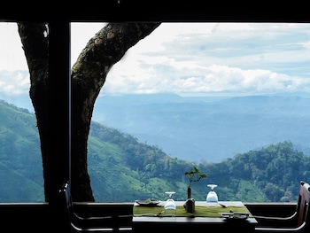 Blackberry Hills Munnar - Nature Resort & Spa