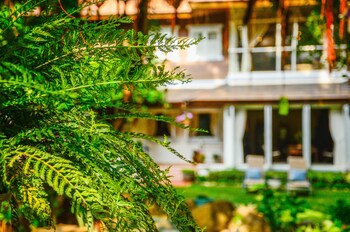 Banyan House Samui Bed And Breakfast (Adult Only)