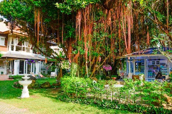 Banyan House Samui Bed And Breakfast (Adult Only)