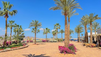 Club Reef Resort & Spa