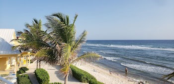 Ocean Paradise