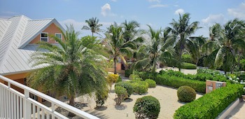 Ocean Paradise