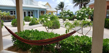 Ocean Paradise