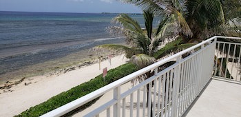 Ocean Paradise