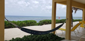 Ocean Paradise