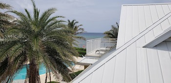 Ocean Paradise