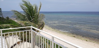 Ocean Paradise