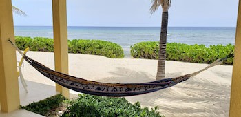 Ocean Paradise