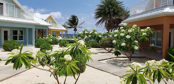 Ocean Paradise