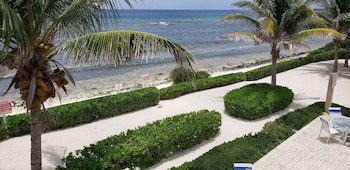 Ocean Paradise