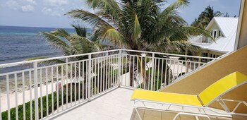 Ocean Paradise