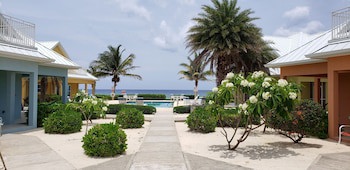 Ocean Paradise