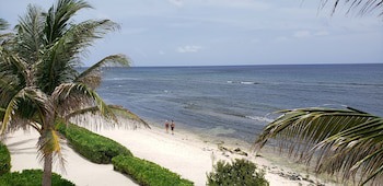 Ocean Paradise