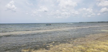 Ocean Paradise