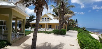 Ocean Paradise