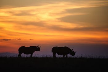 Pondoro Game Lodge  - Open To Kruger Park