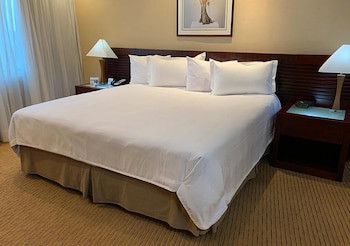 Eurobuilding Hotel Plaza Guayana