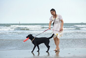 Anantasila Beach Resort Hua Hin