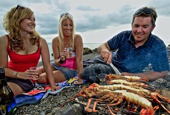 Coromandel Top 10 Holiday Park & Motels