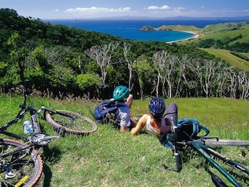 Coromandel Top 10 Holiday Park & Motels