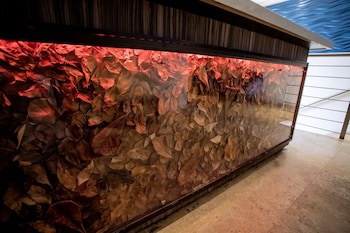 Ciqala Suites Hotel