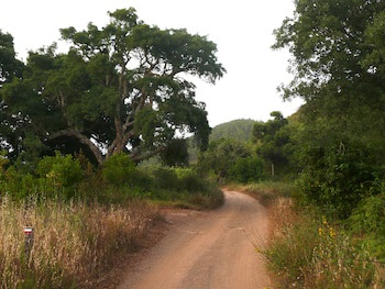 Aldeia Da Pedralva - Slow Village