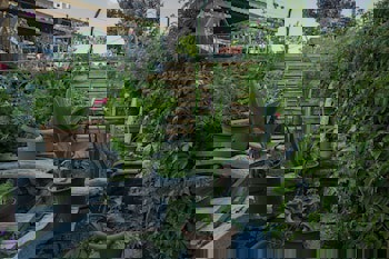 Roma Cave Suite Hotel