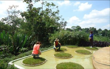 Hacienda Combia