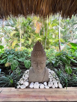 Hotel La Tortuga