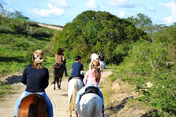 Fazenda Monte Castelo