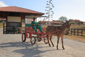 Fazenda Monte Castelo