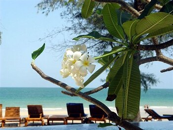 Baan Talay Dao