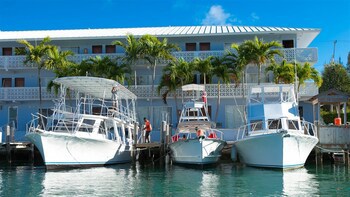 The Marlin At Taino Beach Resort & Clubs