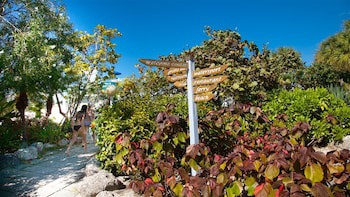 The Marlin At Taino Beach Resort & Clubs