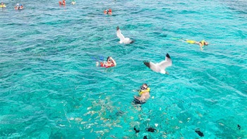 The Marlin At Taino Beach Resort & Clubs