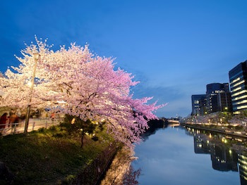 Hotel Resol Trinity Hakata