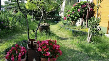 Bellus Rose Pension Hotel