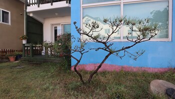 Bellus Rose Pension Hotel