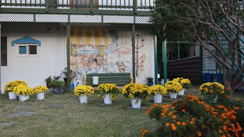 Bellus Rose Pension Hotel