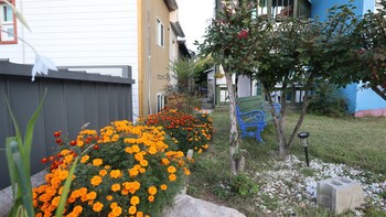 Bellus Rose Pension Hotel
