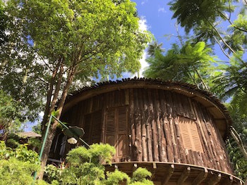 Fig Tree Hill Resort