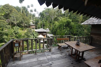 Fig Tree Hill Resort